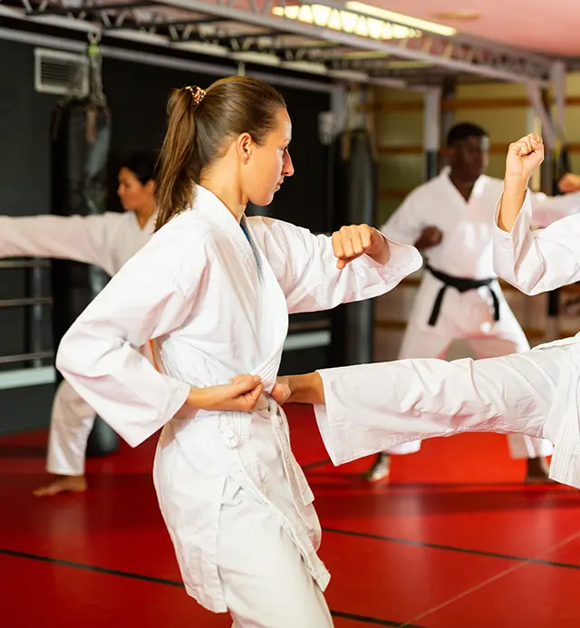 Peralatan Karate